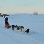 Hotel Hoyfjellshotell 3*