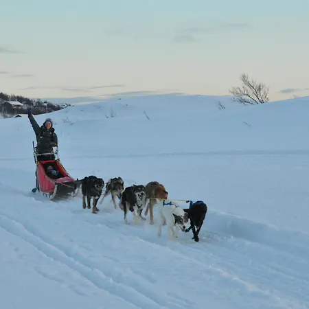 Hotell Hoyfjellshotell 3*