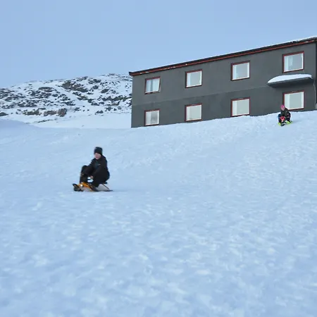 Hoyfjellshotell 3*