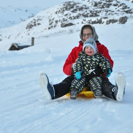 Hoyfjellshotell 3*