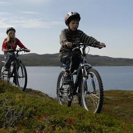 Hoyfjellshotell Hotell 3*
