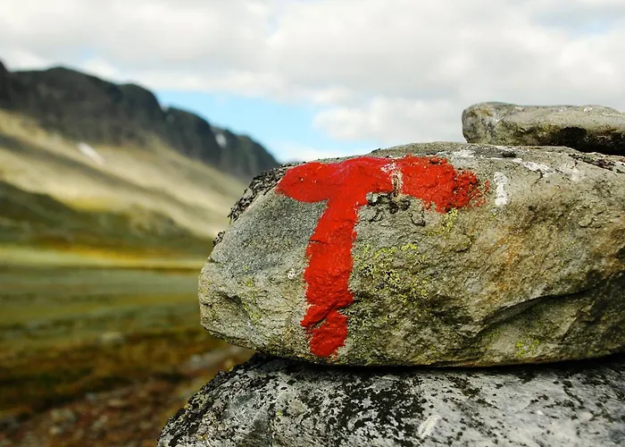 Hotell Rødungstøl 3*