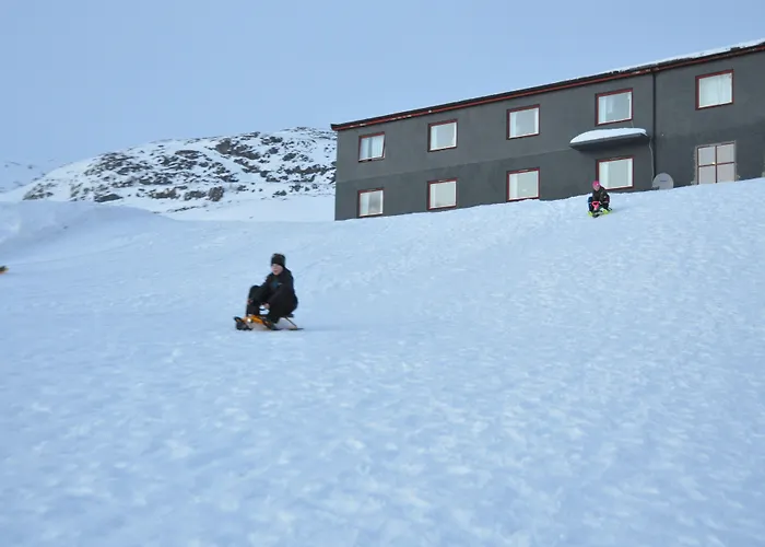 Hoyfjellshotell 3*