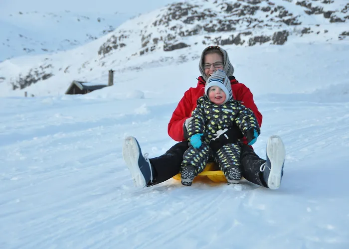Hoyfjellshotell 3*